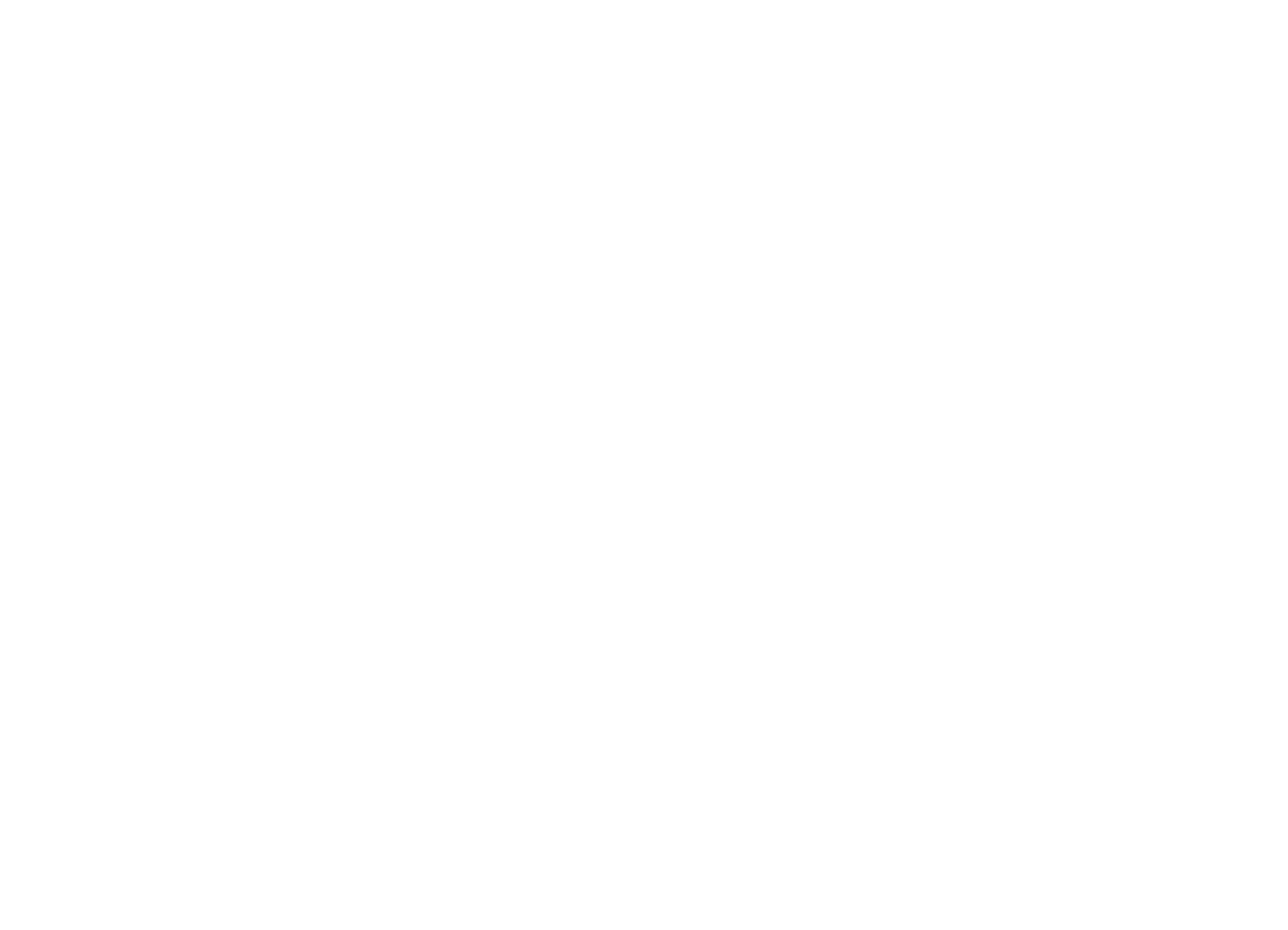 Believe Accessories Inc.
