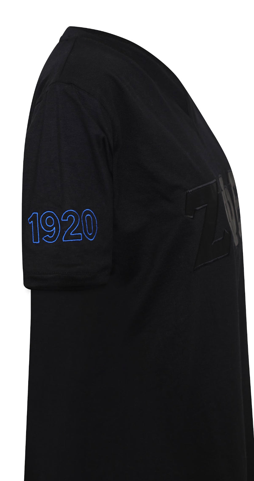 Zeta Blackout V Neck Tee