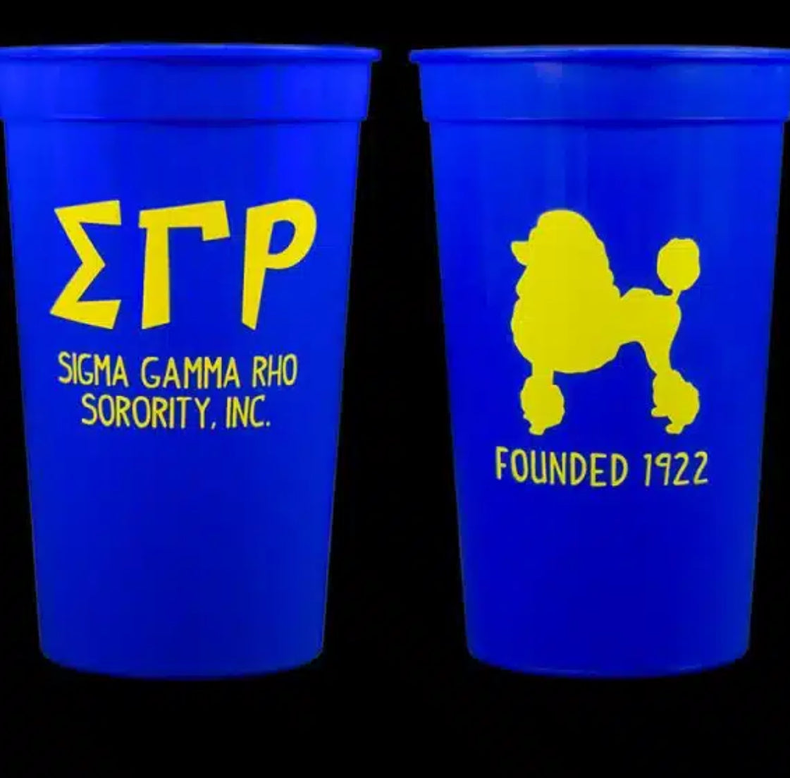 SGRHO STADIUM CUP- PLASTIC