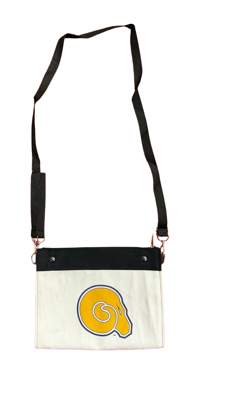 Albany State stadium bag Cover your assets