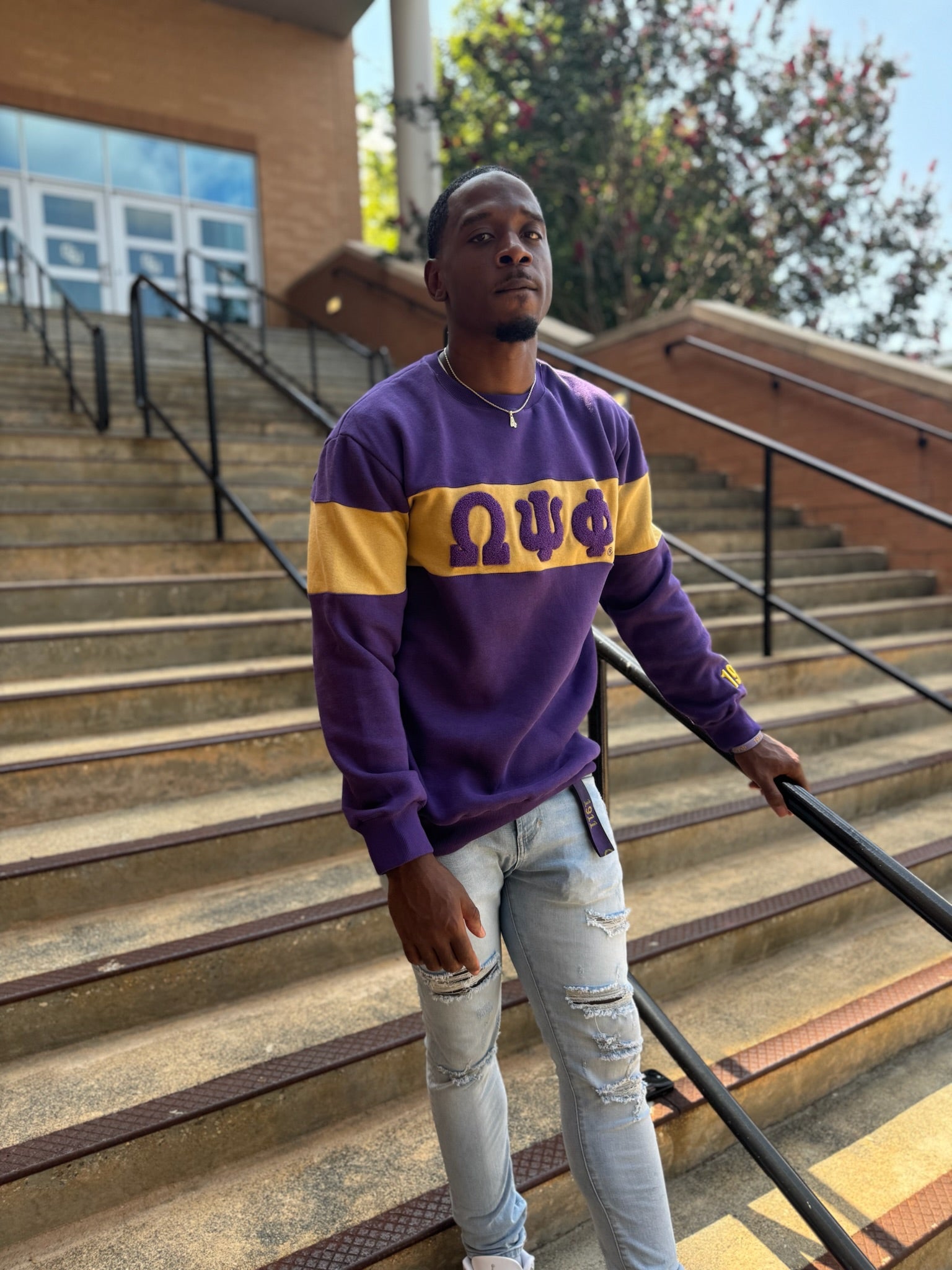 Omega 3D Striped Sweatshirt