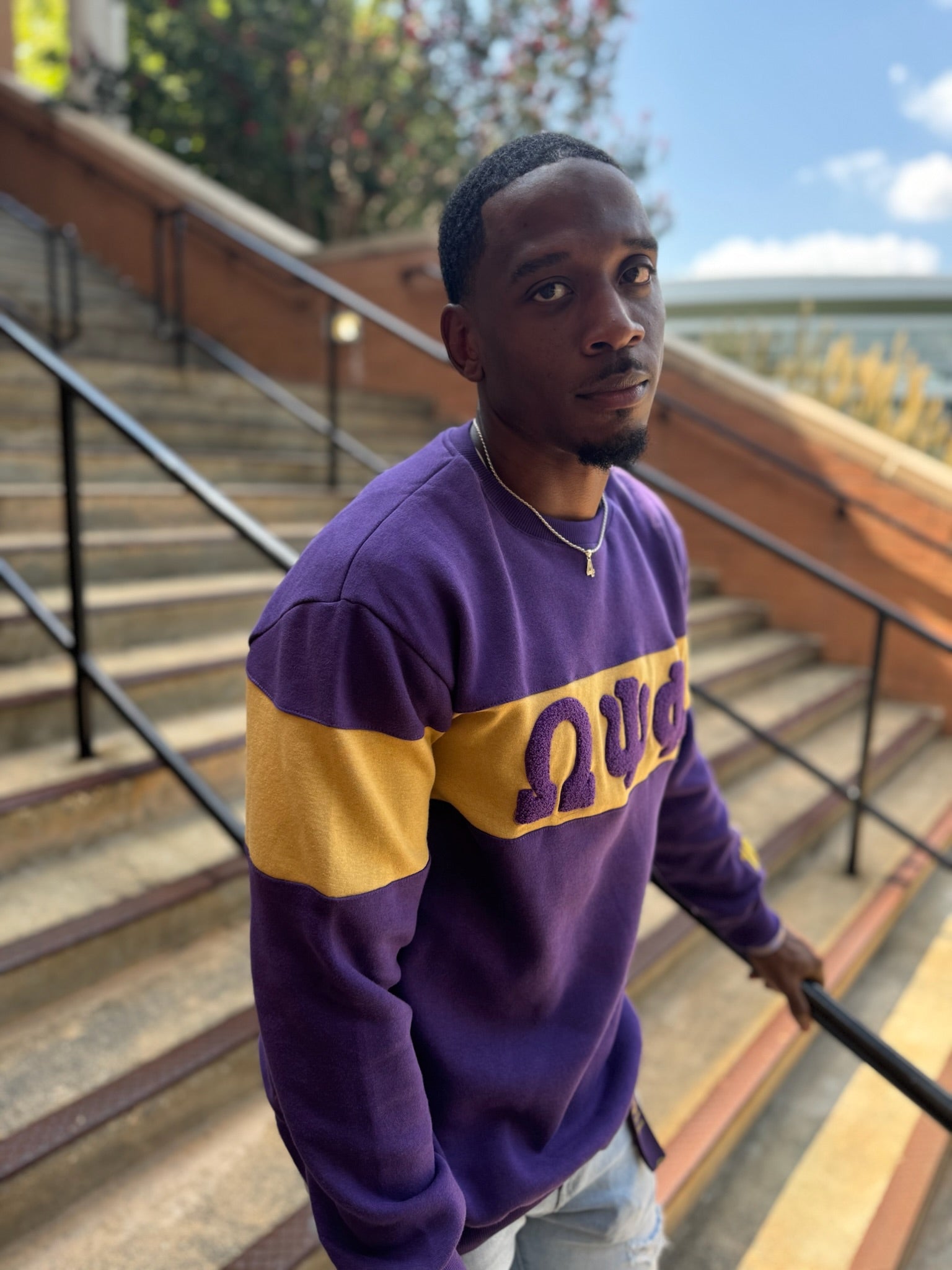 Omega 3D Striped Sweatshirt