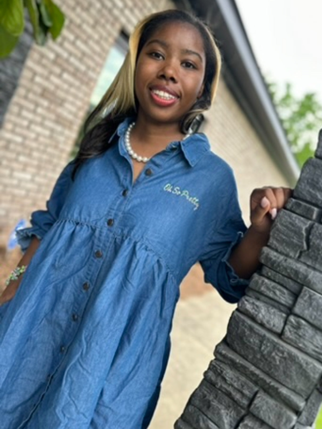 AKA Denim Oh So Pretty Dress