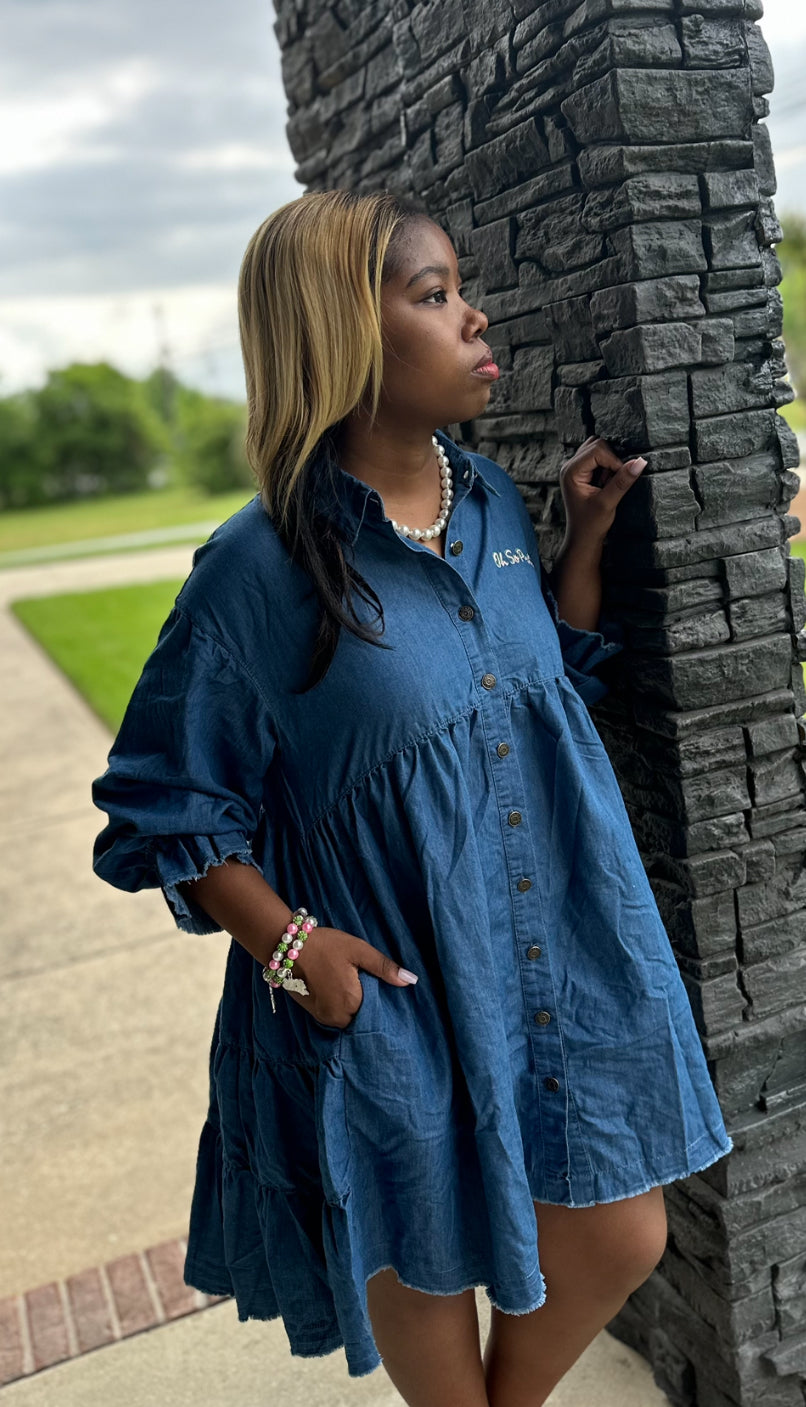 AKA Denim Oh So Pretty Dress