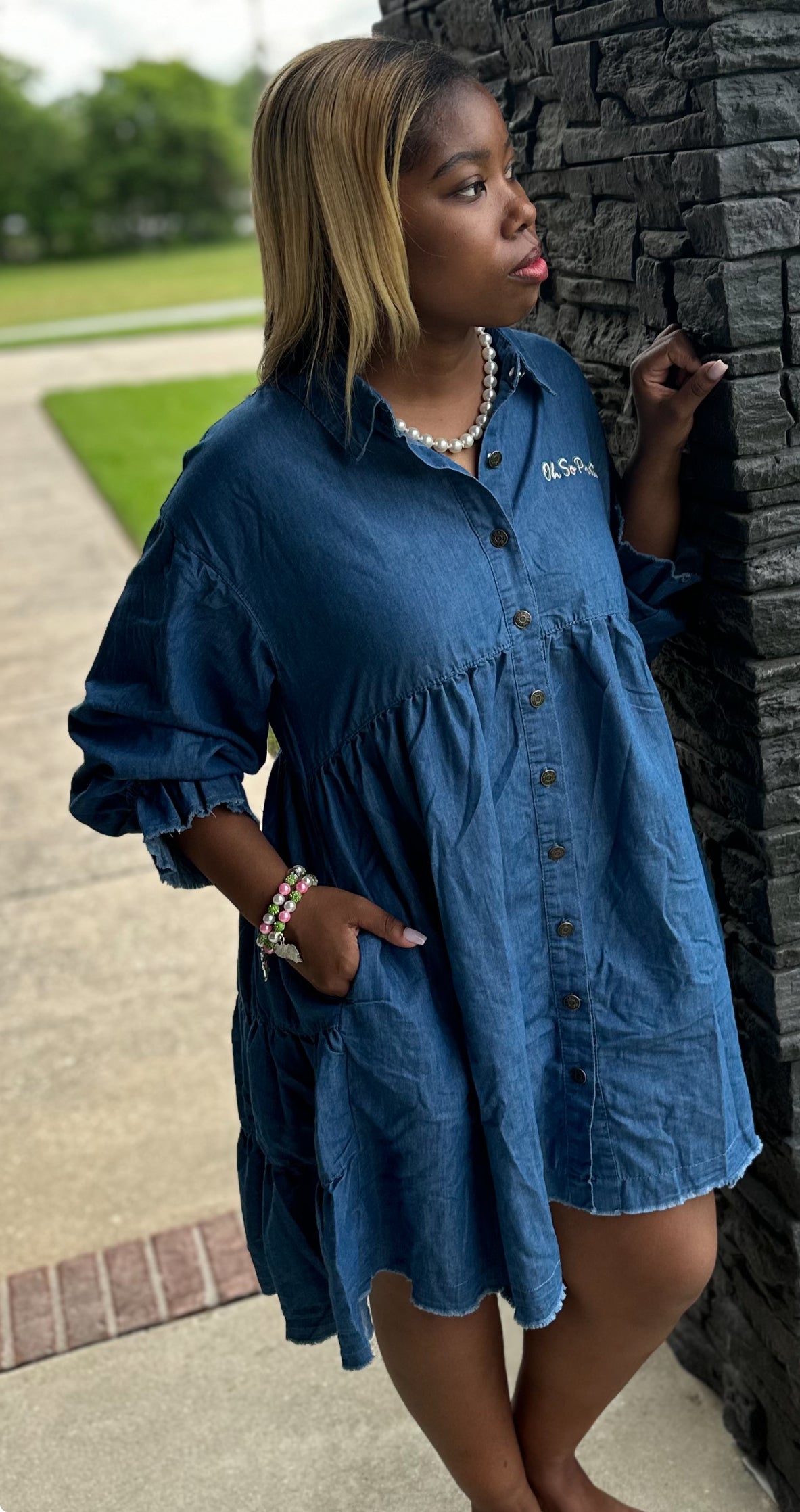 AKA Denim Oh So Pretty Dress