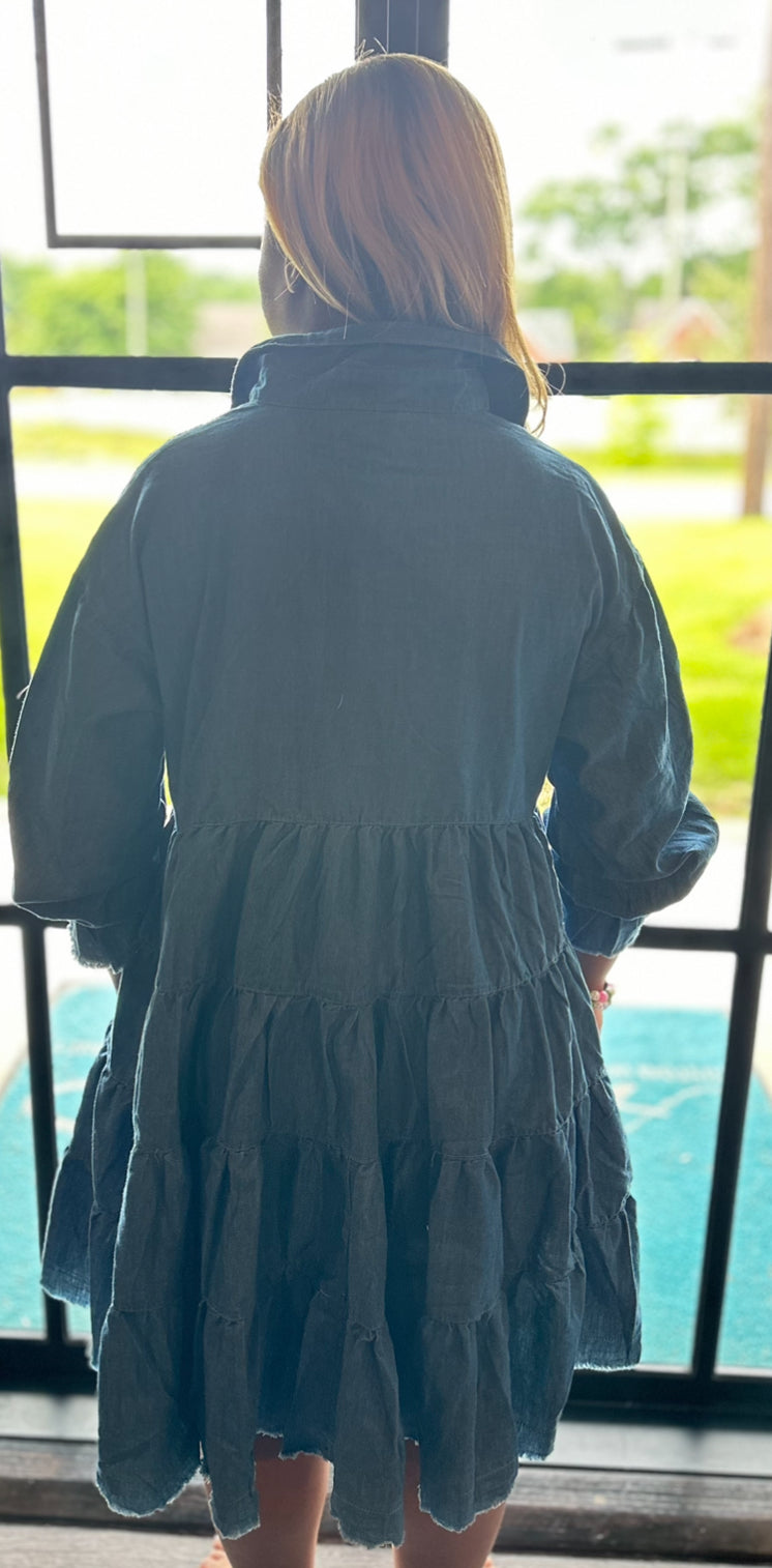 AKA Denim Oh So Pretty Dress