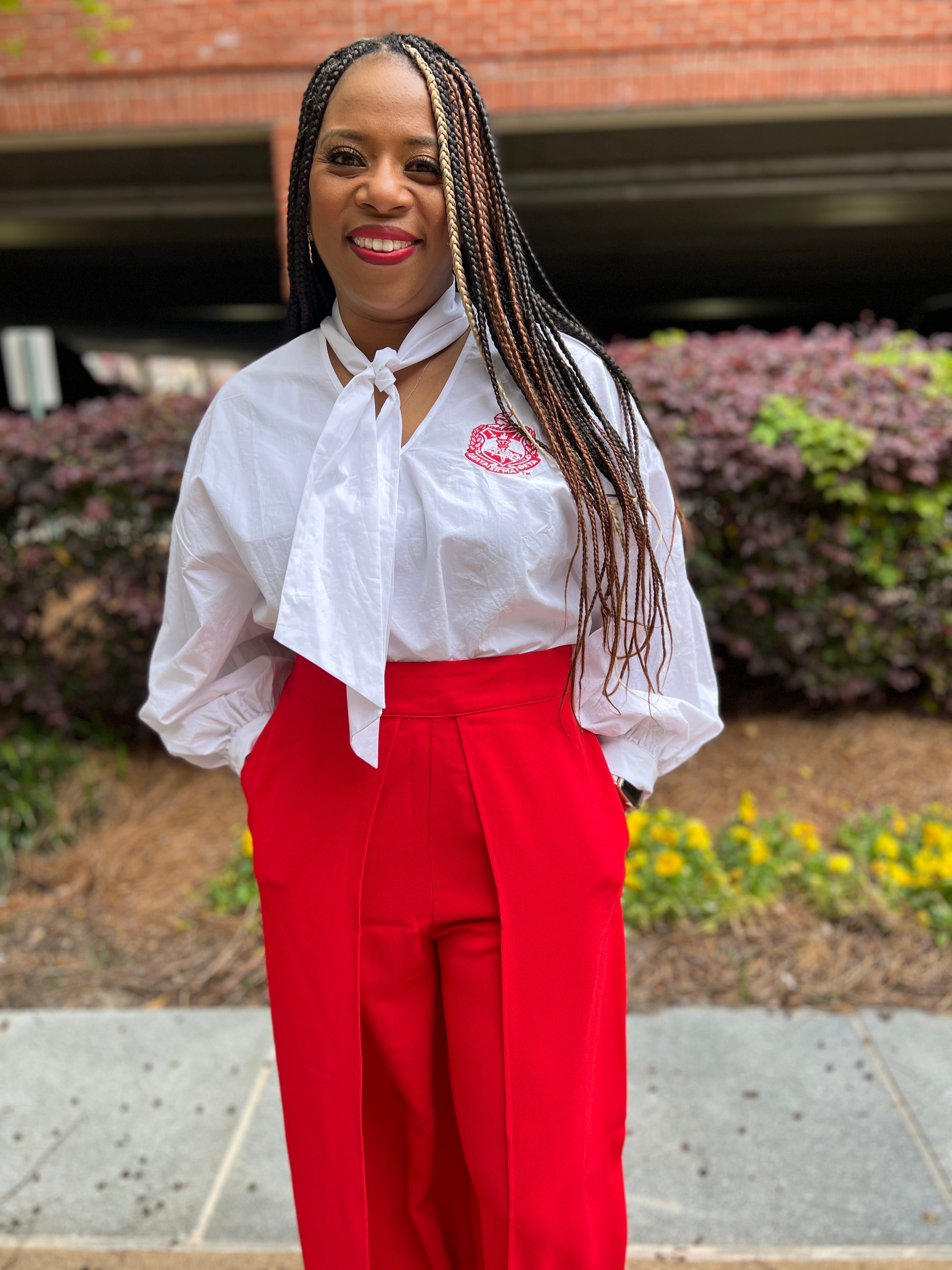 Delta V Neck Tie Blouse