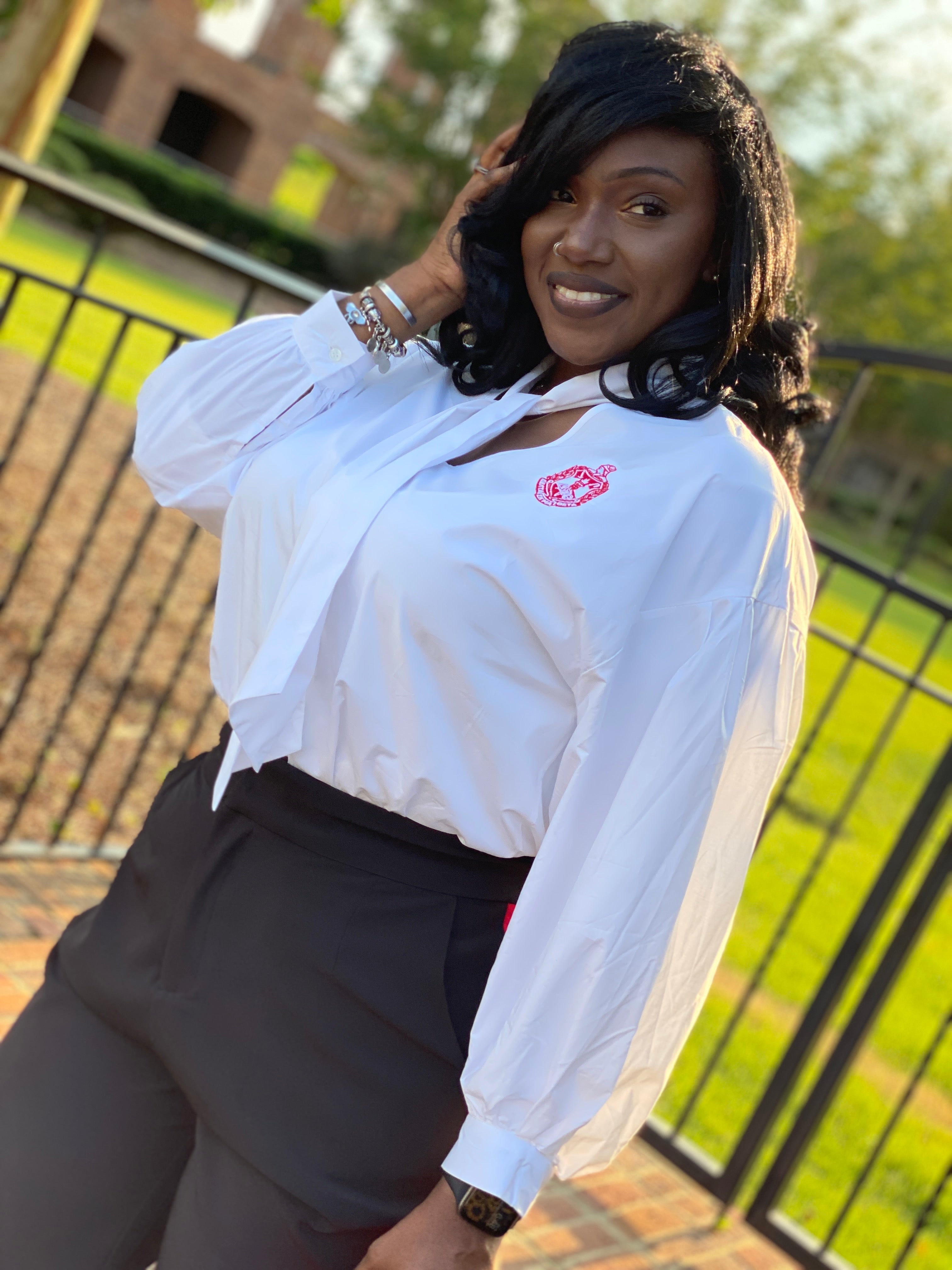 Delta V Neck Tie Blouse