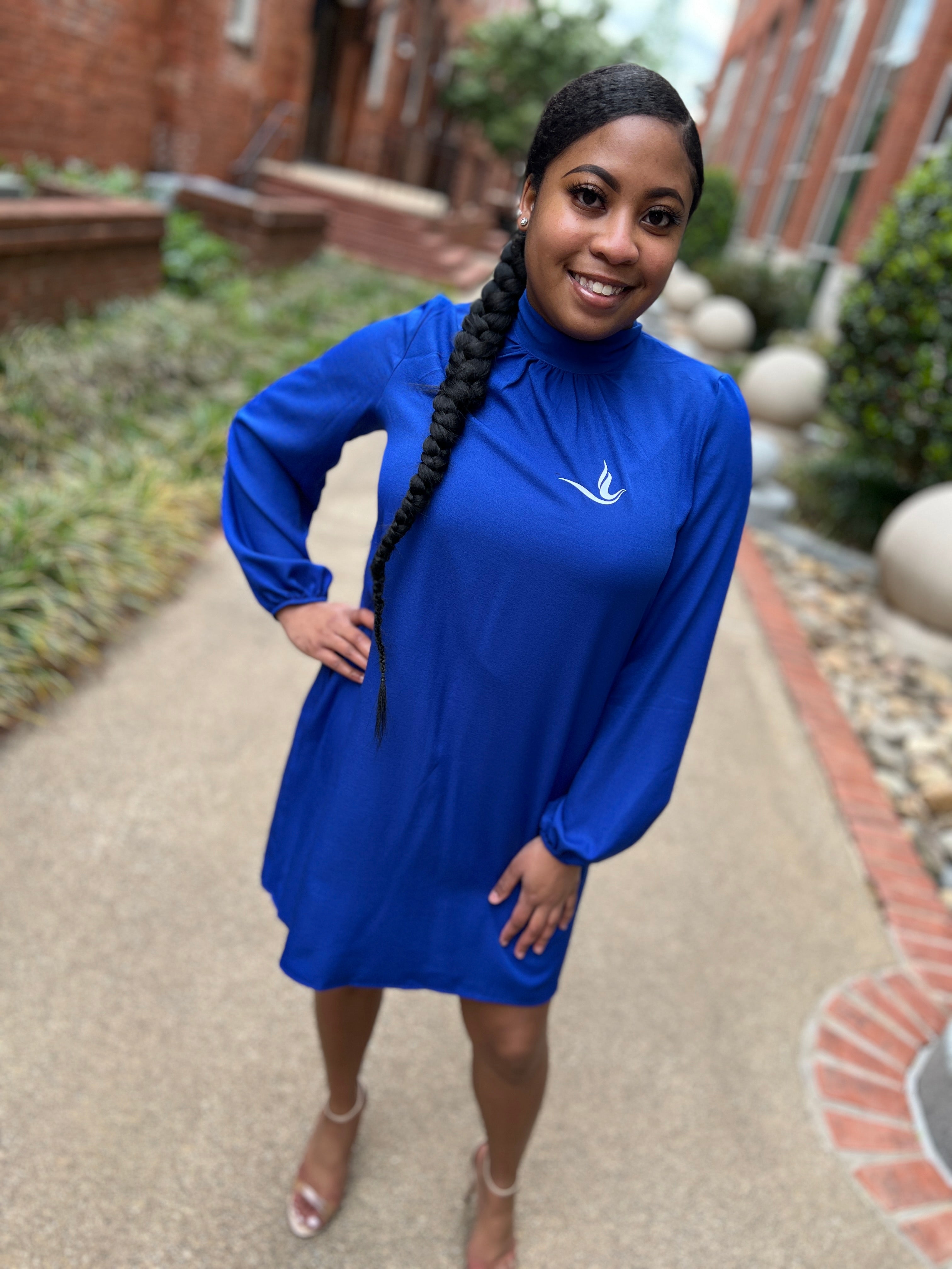 Long sleeve Tunic Dove Dress