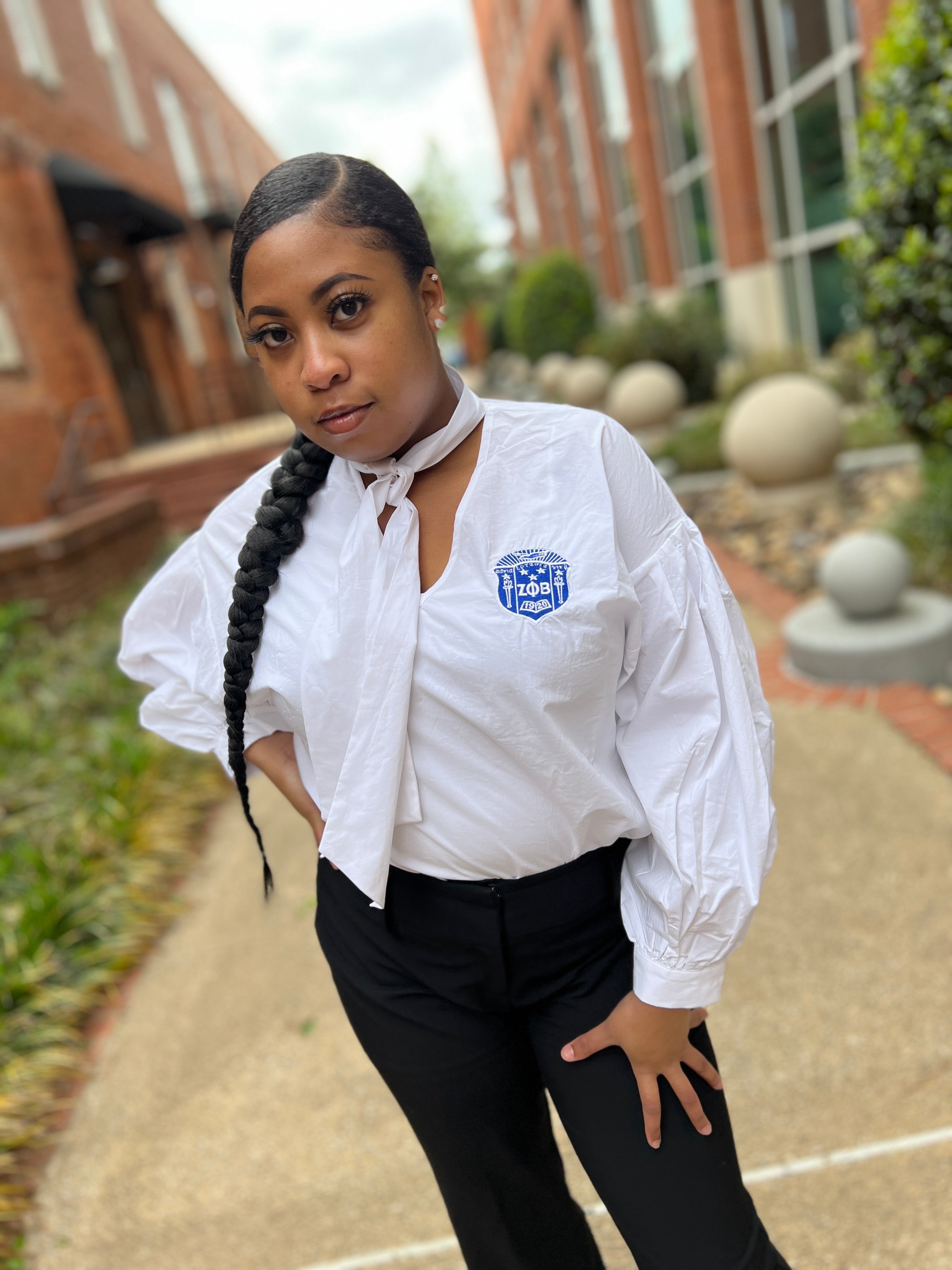 Zeta V Neck Neck Tie Blouse