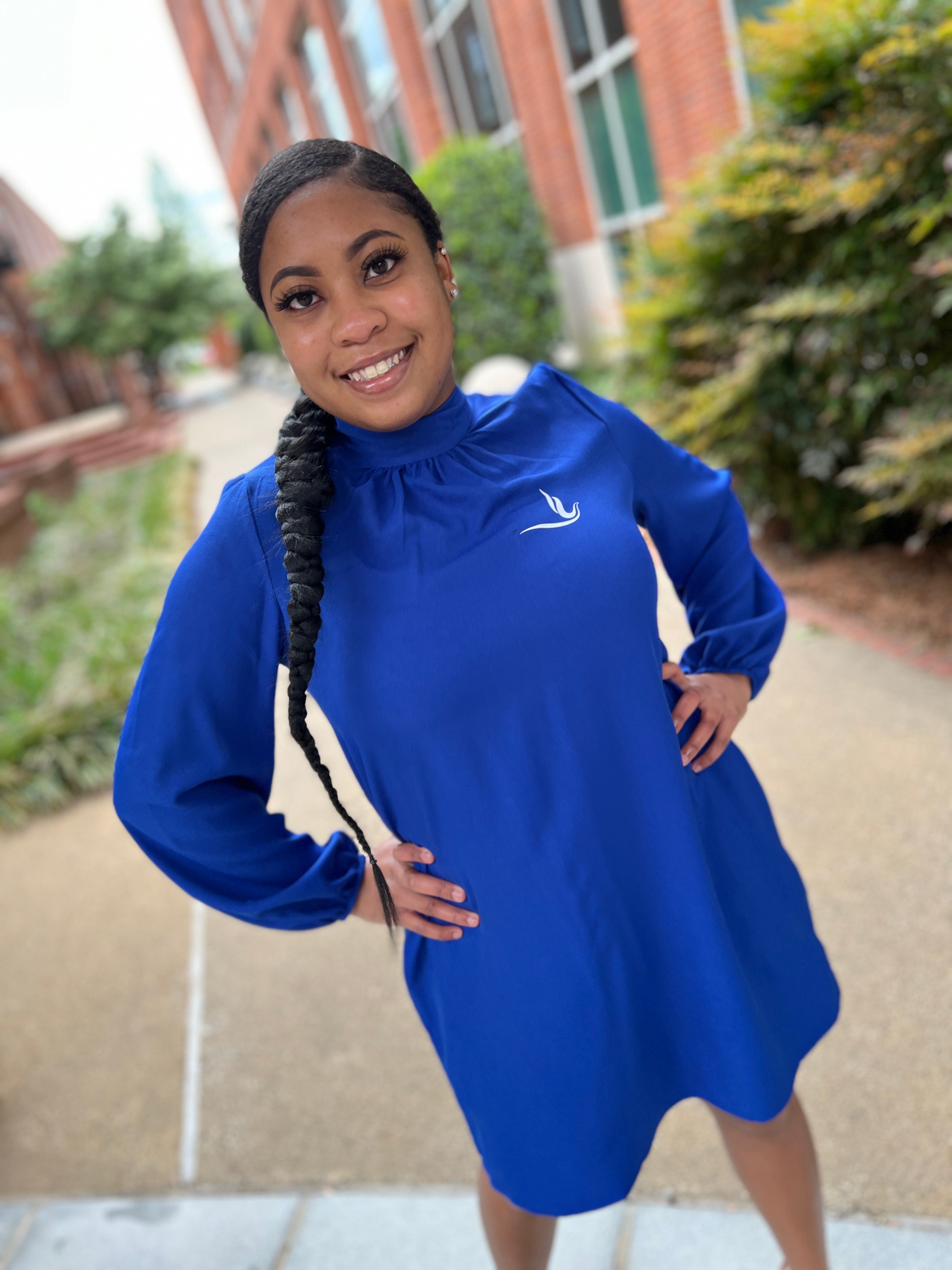 Long sleeve Tunic Dove Dress