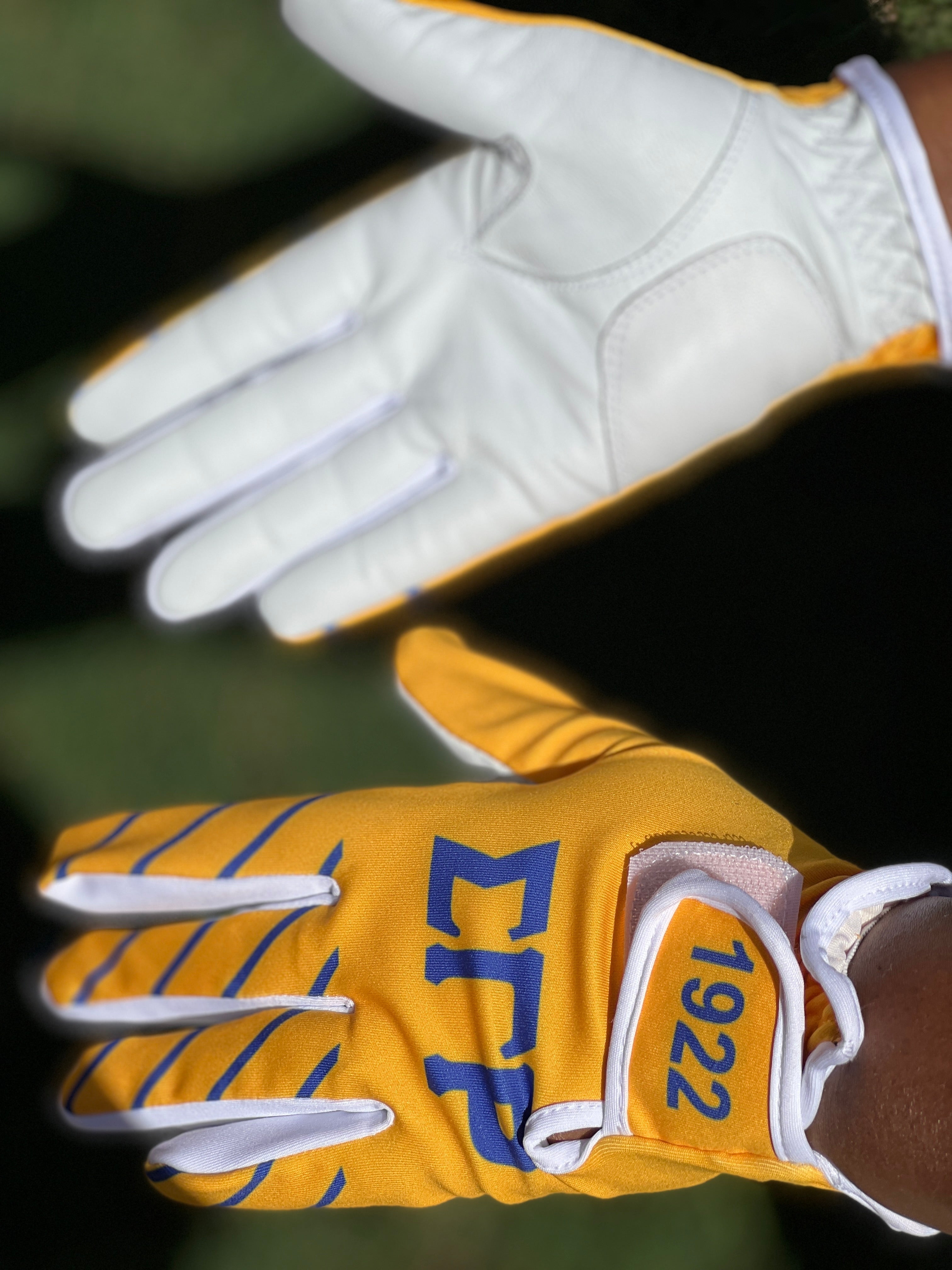 SIGMA GAMMA RHO GOLF GLOVES