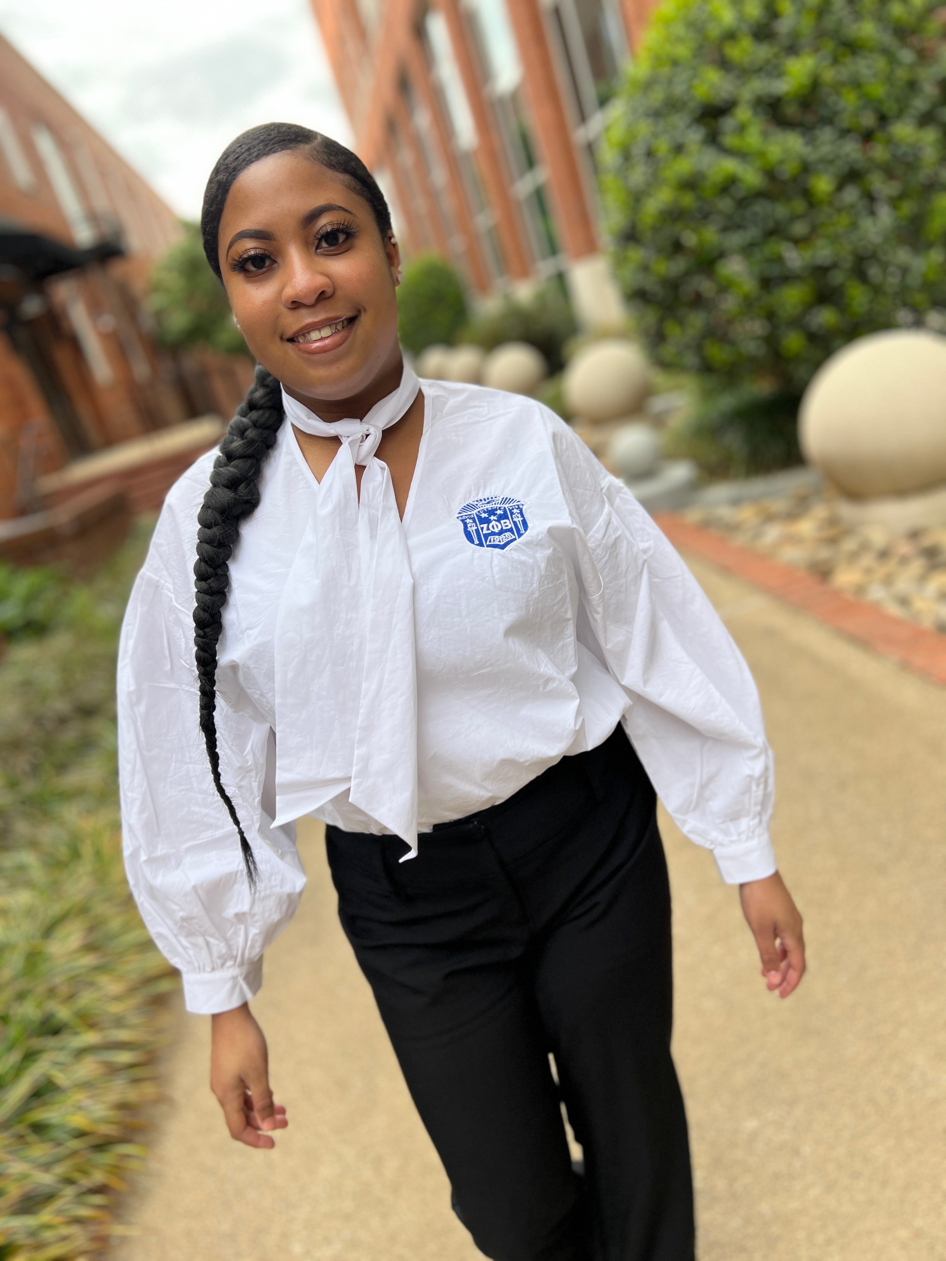 Zeta V Neck Neck Tie Blouse