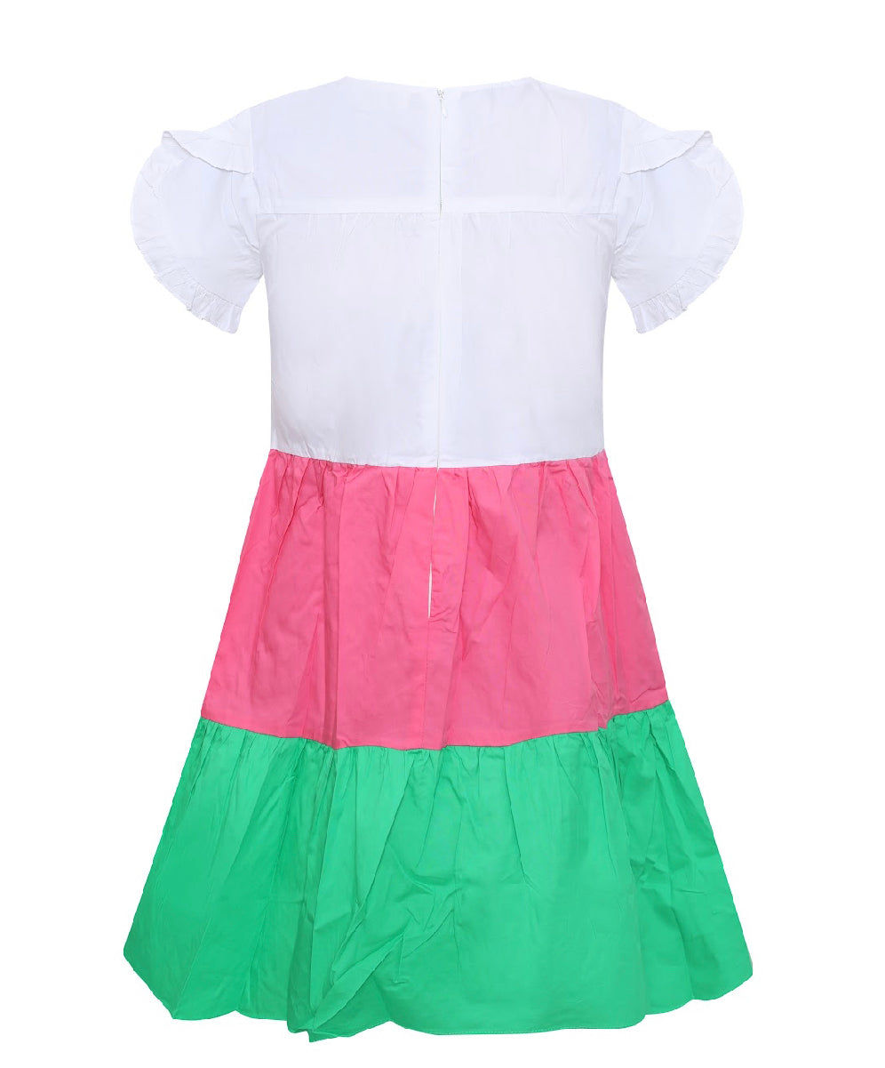 Pink/Green-Color Block Fluttered Sleeve Dress FINAL SALE NO EXCHANGES FOR REFUNDS
