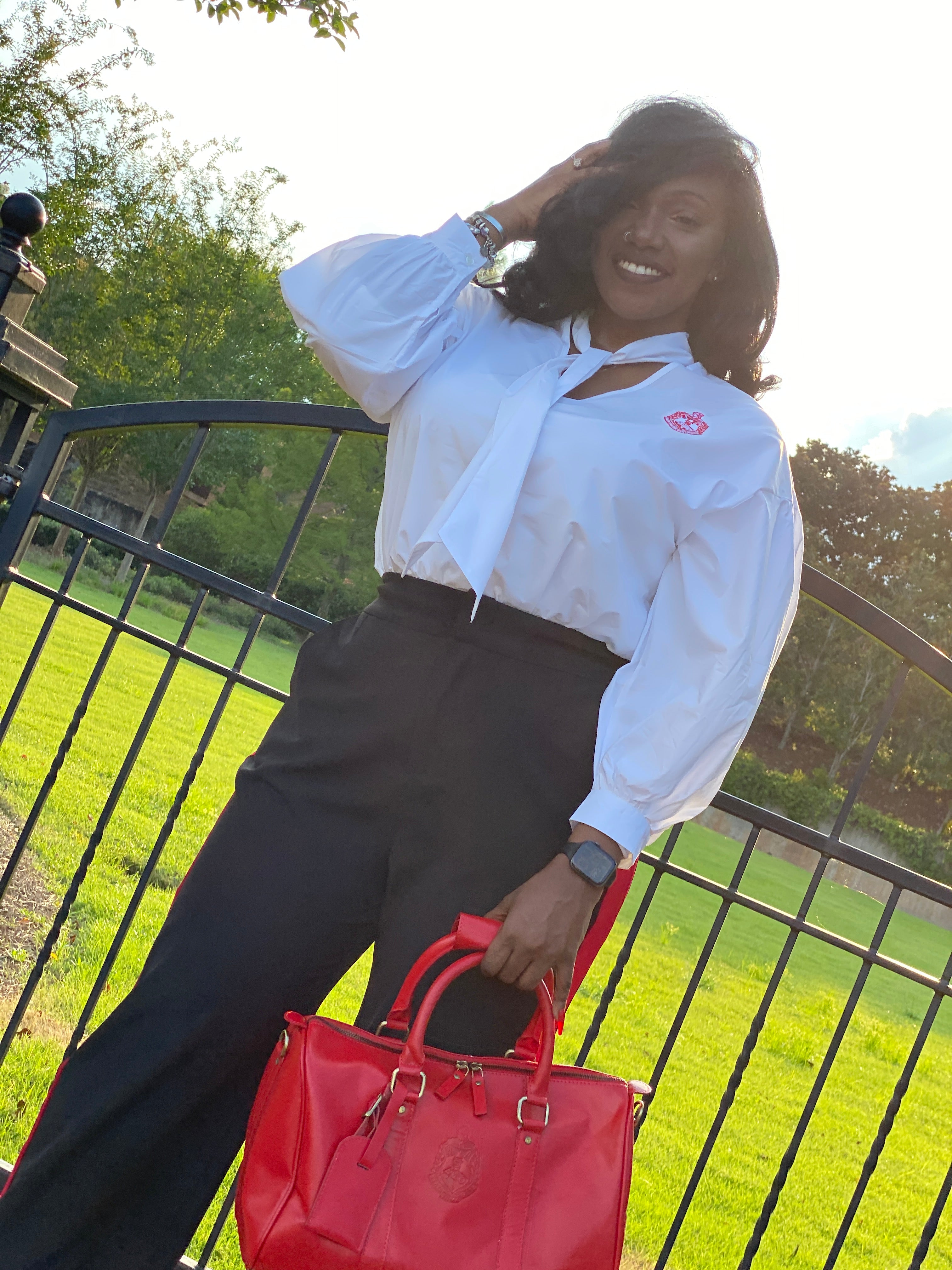 Delta V Neck Tie Blouse