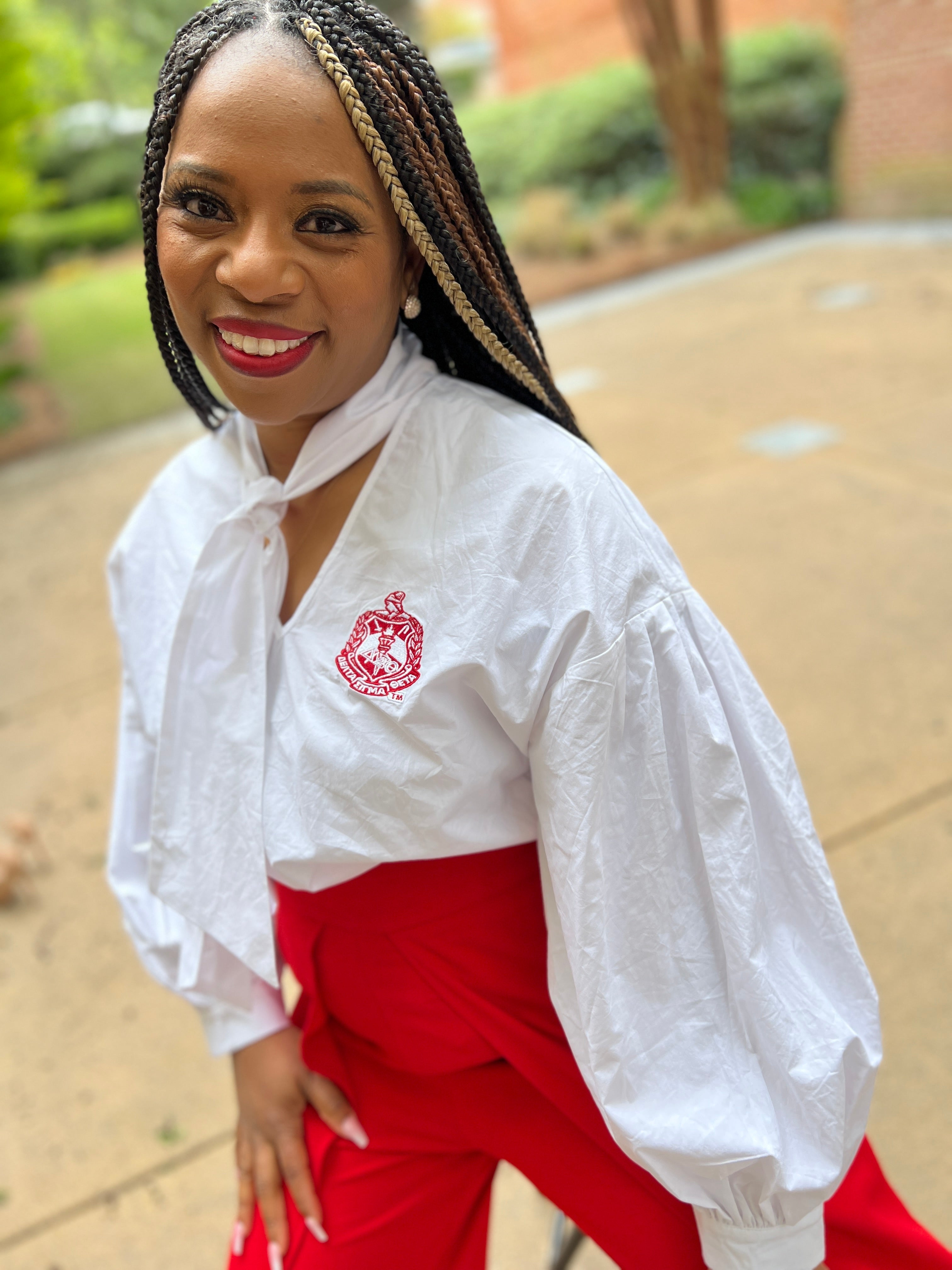 Delta V Neck Tie Blouse