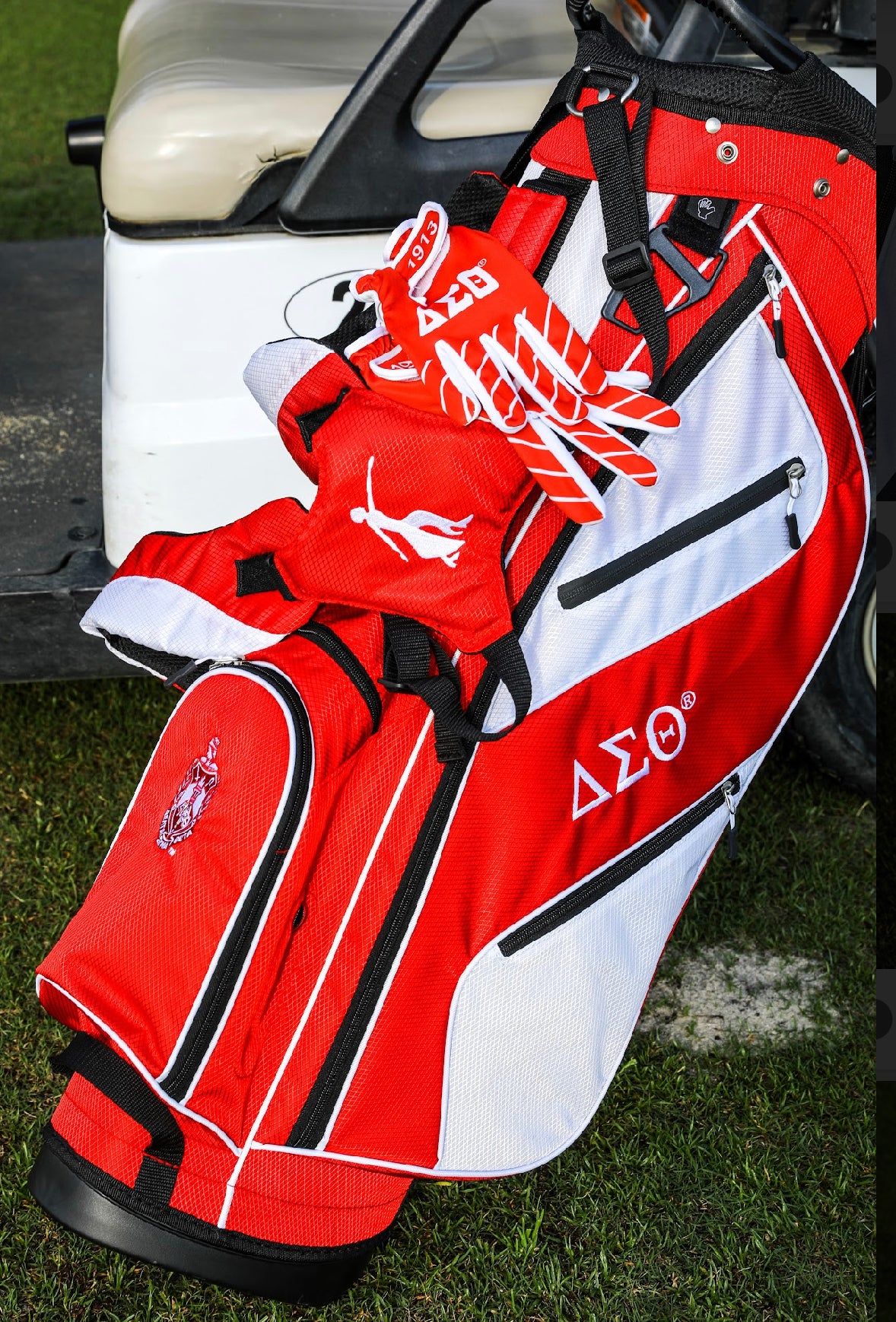 Delta Golf Bag