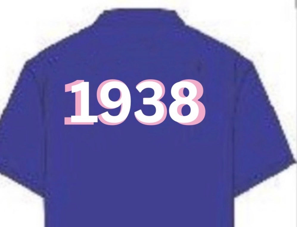 DS- SWLC Shirt