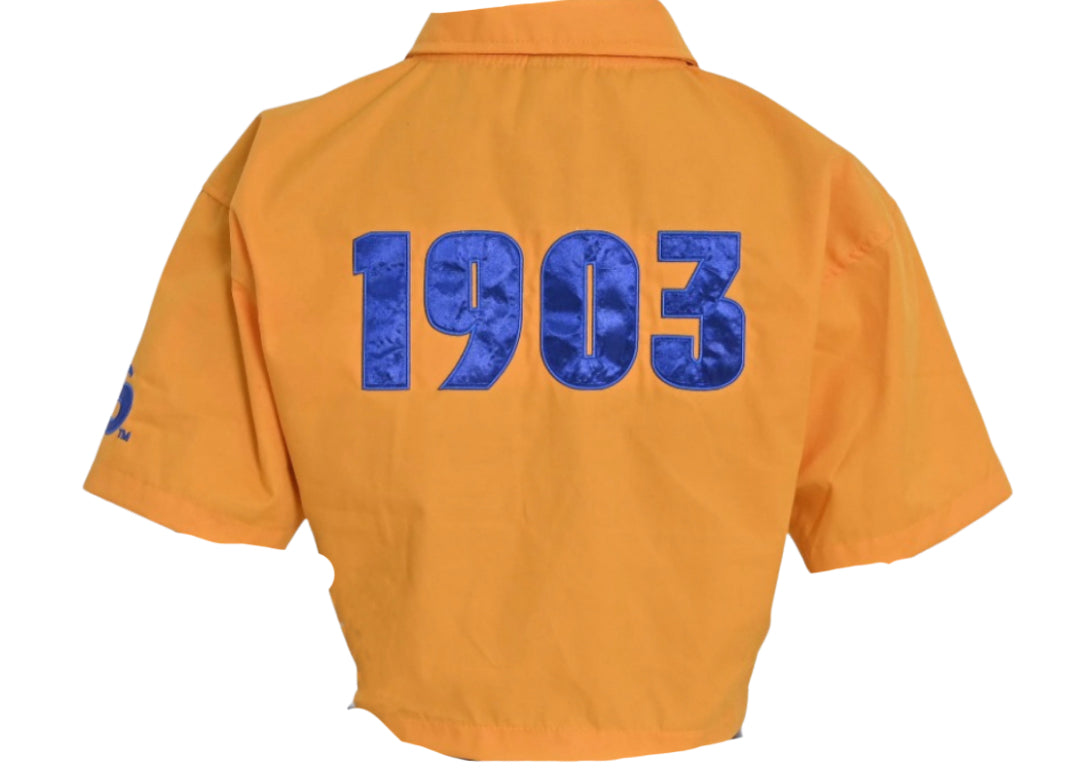 Albany State Mechanic Shirt