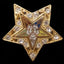 OES Rhinestone Gold star