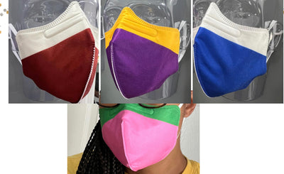 Disposable Masks-N95 - 2 pc pack