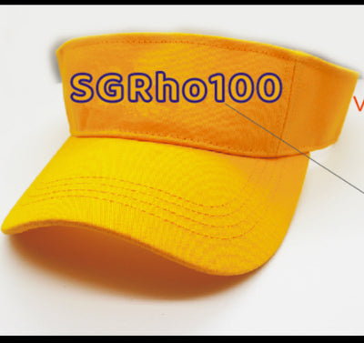 SGRHO 100 Visor