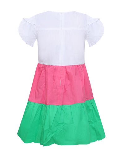 Pink/Green-Color Block Fluttered Sleeve Dress